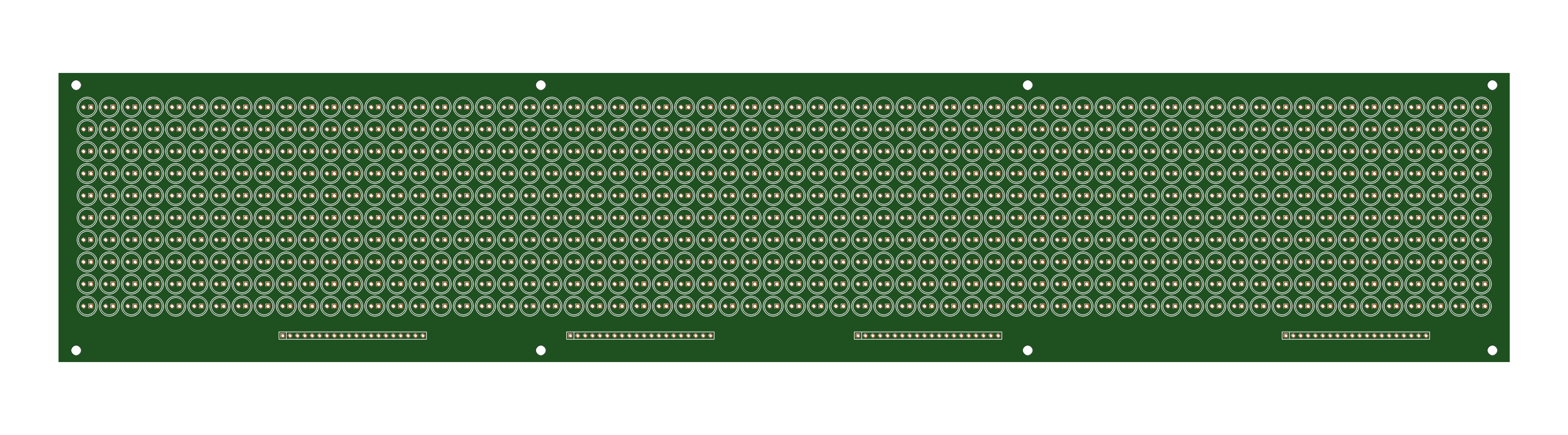 Matrix 100x500 PCB, top view